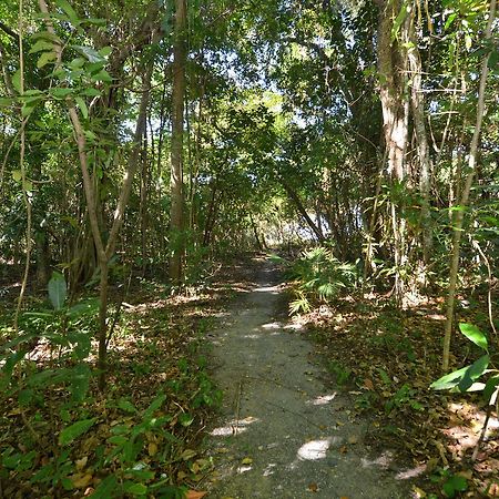 Villa Frangipani ポートダグラス エクステリア 写真